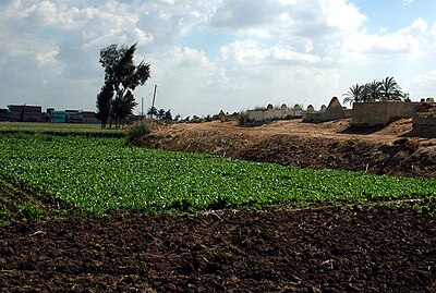 Excavation site at Tell el-Dab'a in the Nile Delta